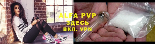 apvp Бородино