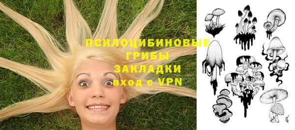 MDMA Кукмор