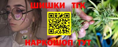 мет Кингисепп