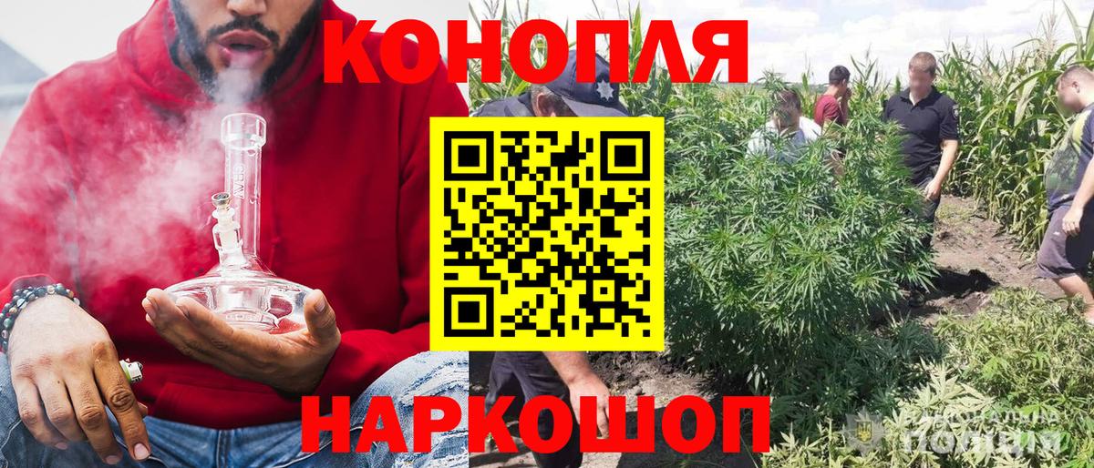 Марихуана семена  Бошки марихуана индика  Новороссийск  Каннабис AK-47  Шишки марихуана планчик  Вход с VPN 